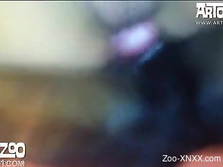 Fishnets-wearing brunette gets fucked by a black dog