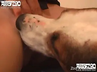Masked chick with perky tits gets licked by her own dog