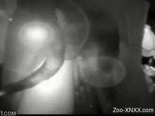 Black and white footage with a big-dicked dog