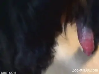 Red dog cock stroked by a well-endowed dude with a boner