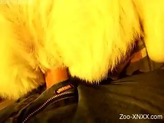 Dude destroying that white dog's enticing pussy