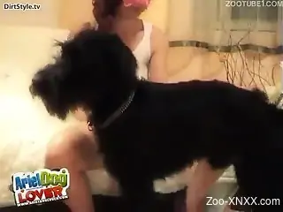 Black dog destroying a masked slut in a white top