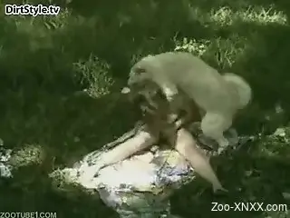 Tiny white dog drilling this insane brunette's holes