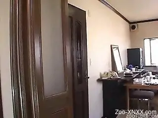 Japanese beauty in a white top is about to fuck animals