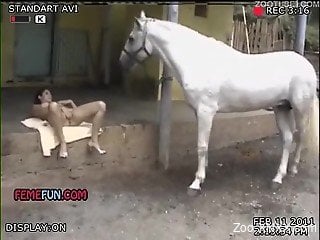 Horses sex with girls in Tampa