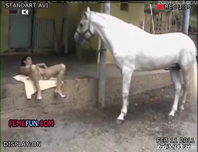 White horse fucking a curly-haired Latina slut - Zoo-XNXX.com