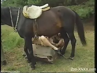 Red get-up brunette spreading her legs for a dog