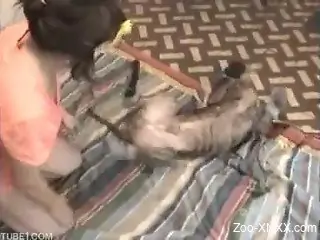 Brown dog plowing a brunette in a colorful t-shirt