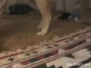Pale older chick gets drilled in the ass by a dog