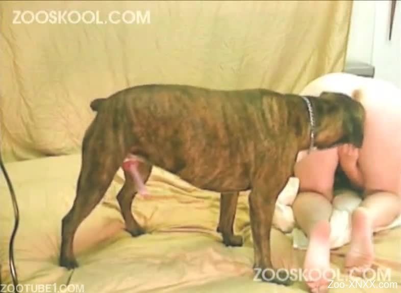 786px x 576px - Black/grey dog fucking this brunette from behind - Zoo-XNXX.com