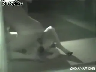 Hardcore penetration for a blonde, she loves her dog