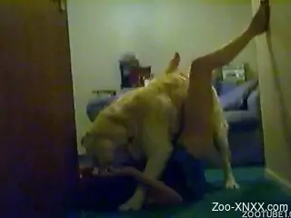 Hairy and meaty dog fucking the owner real good