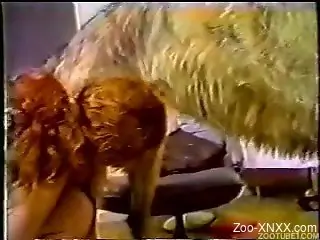 Chicks making out with each other and sucking dog's cock