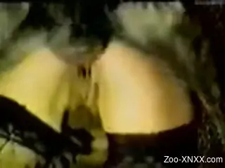 Stockings-wearing brunette penetrated by a hung dog