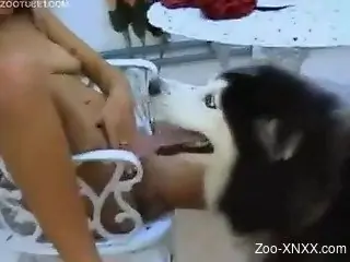 Tanned Latinas prepare their pussies for a dog cock