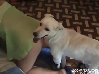 Trained white dog fucks my hot wife in doggy pose