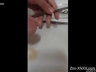 Crazy man zoophile shoves a worm in his cock