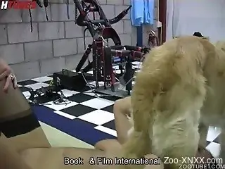 Good-looking brunette sucks her dog in the garage