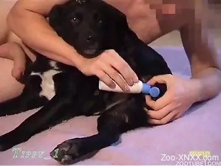 Man gives his lovely doggy a good rimjob