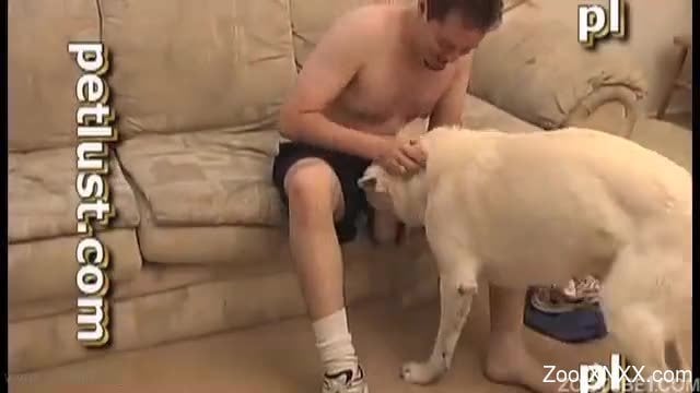 Xnxx Dooz - Bearded male eats his doggy's dick after awesome bestiality sex ...