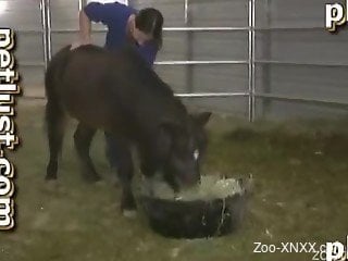 Farmer pounds a sexy brown pony in the doggy style