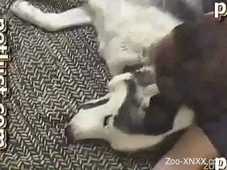Nice guy and horny doggy are enjoying perverted anal sex