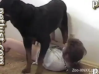 Black dog gets sensually sucked by filthy amateur zoophile