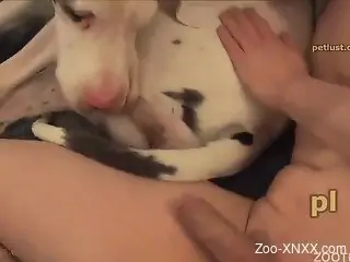 White dog gets anally fucked by crazy as hell zoophile