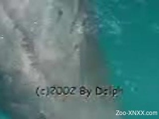 Guy films himself when deep finger fucking dolphin