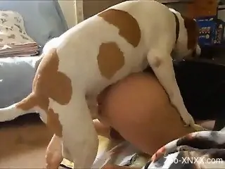 Sensual spotted hunter smells and fucks my wife's tight snatch