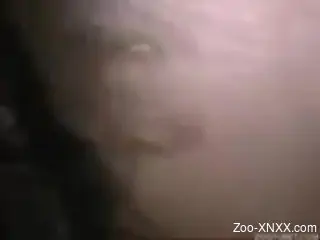 Man fuck horse with condom