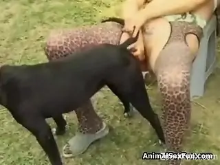 Busty blonde gets spit-roasted by a dog and horse