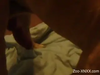 Smooth pussy zoophile gets licked by a cute dog