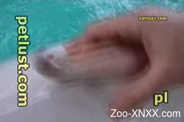 Eager dude jerking a dolphin