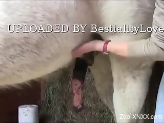Great handjob for a very hung white stallion