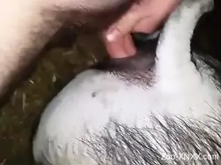 Dude sticks his huge white dick in his cute pet