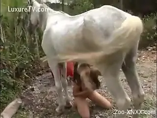 Horse sex action with a beautiful and busty woman