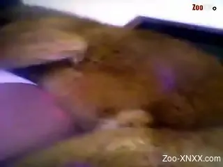 Dog XXX Porn