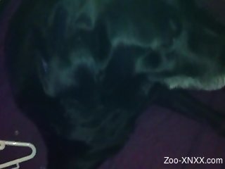 Dude jerks his cock in front of a sexy black dog
