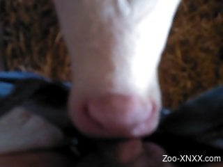 Sexy cow getting face-fucked by a really horny dude