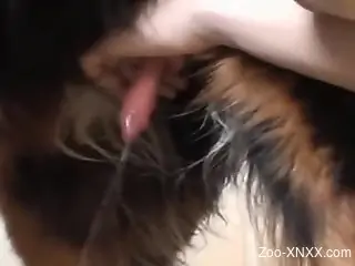 Thirsty zoophile happily jerking a dog's hard dick