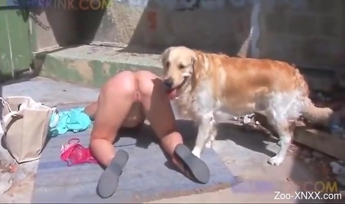 Dog And Garl Video Xxx - Girl and dog XXX