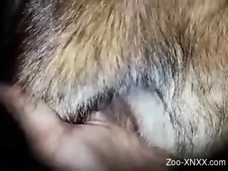 Man finger fucks furry animal and feels aroused