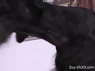 Masked zoophile hottie gets to fuck her sexy pet