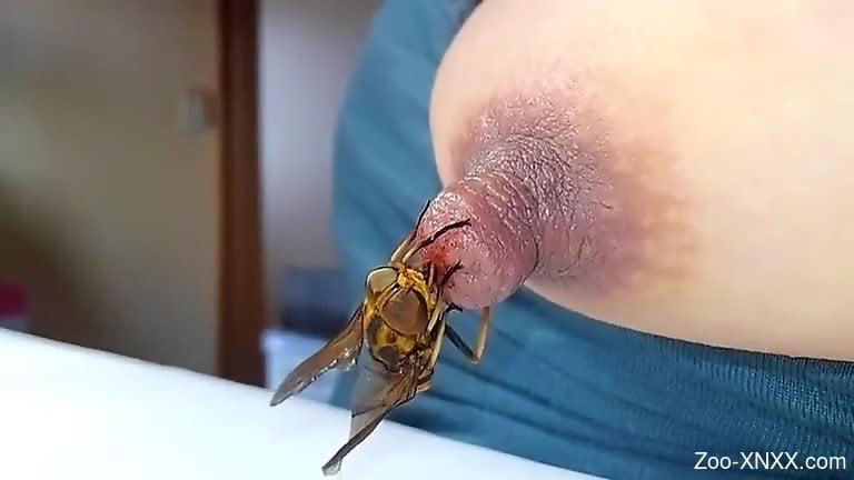 Bee stinging this slut's nipple for the camera. 