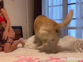 Furry mutt fucks the blonde babe in excellent modes