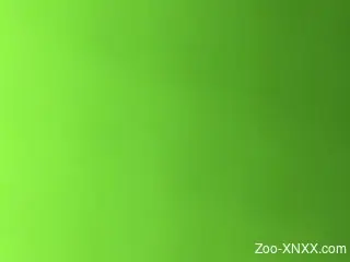 Kinky zoophilia with the animals taking dick big time