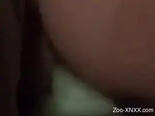 Closeup with the naked wife when trying animal anal sex