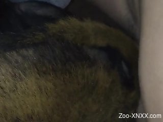 Dude fucking a submissive animal in a zoo sex tape vid