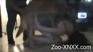 Retro zoo fuck video with amateur zoophile addicts